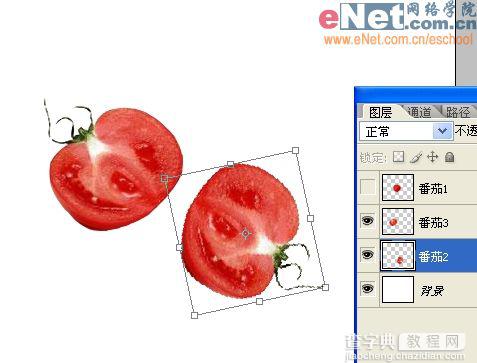 Imageready制作刀切西红柿动画效果图8