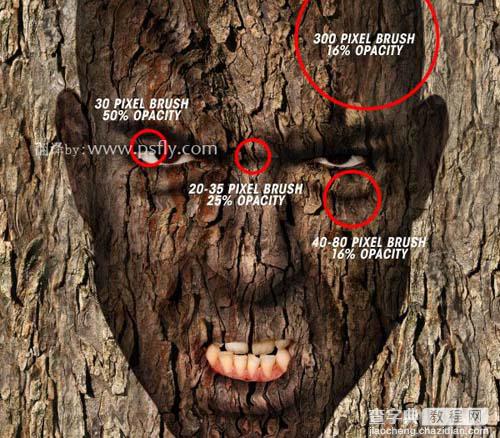 photoshop 合成恐怖的树皮脸22