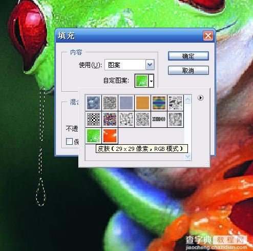 photoshop 合成恐怖的正在溶解的青蛙9