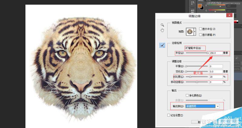 Photoshop将老虎头像和人脸完美融合在一起的效果图24