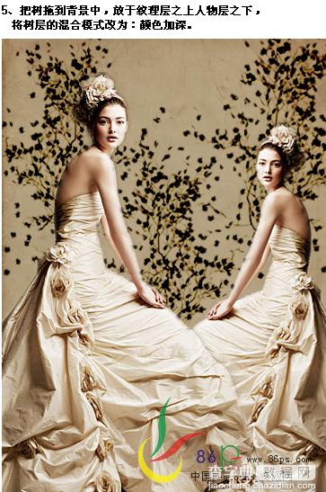 Photoshop婚纱照片合成：个性化装饰10