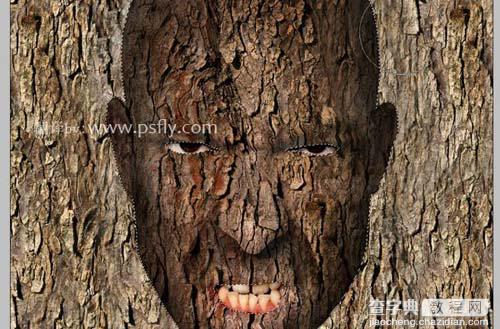 photoshop 合成恐怖的树皮脸18
