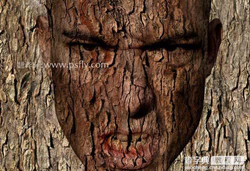 photoshop 合成恐怖的树皮脸8