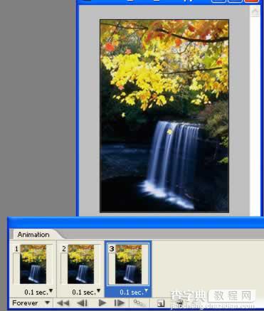 Photoshop制作秋风吹落树上的叶子动画11
