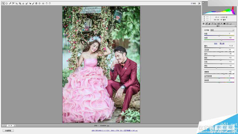 Photoshop调出外景影楼婚纱照片高质量质感肤色效果6