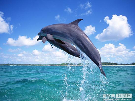 Photoshop照片合成教程:美女,海豚与海13