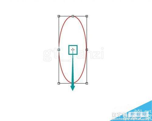 入门:ps简单绘制花朵纹样15