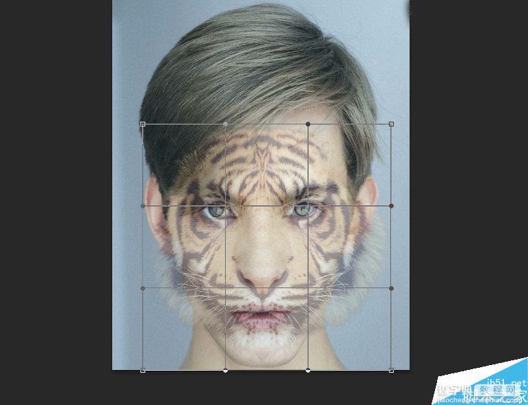 Photoshop将老虎头像和人脸完美融合在一起的效果图29