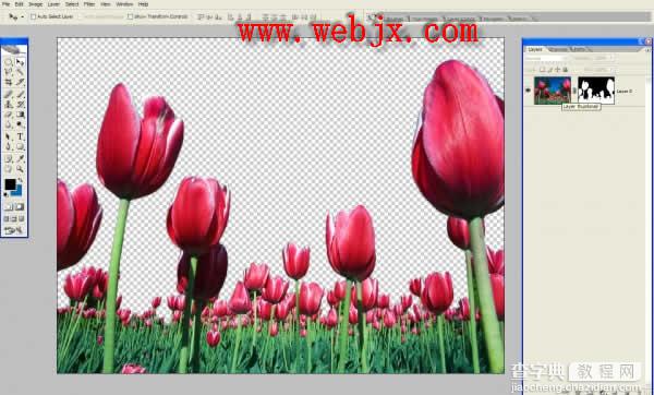 photoshop 合成海底的花世界3