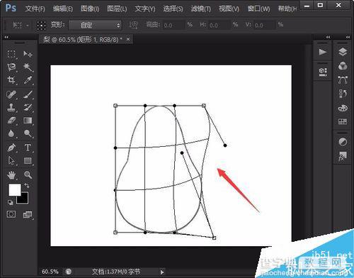 用photoshop绘制简笔画梨5