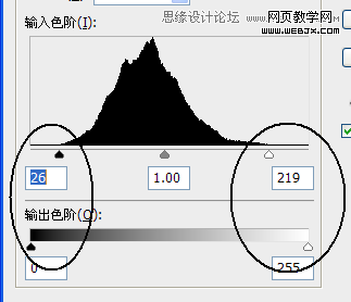 Photoshop通过为灰蒙蒙的图片调色实例讲解色阶的使用原理8