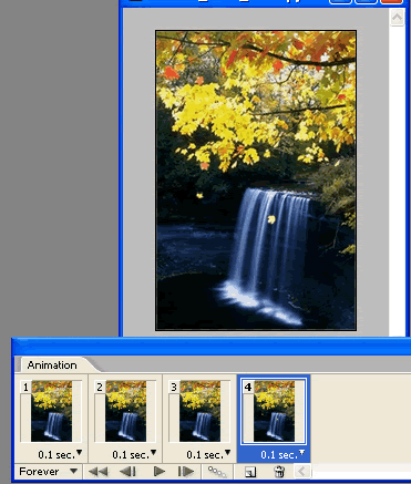 Photoshop制作秋风吹落树上的叶子动画12
