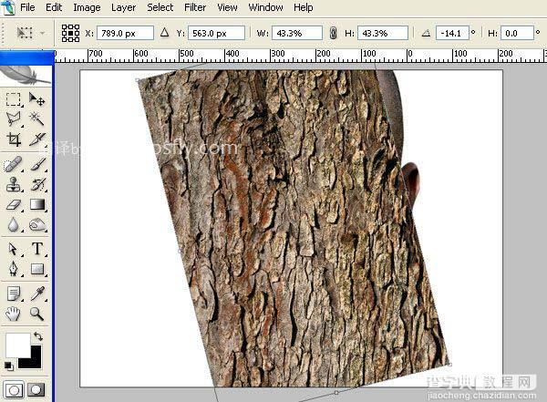 photoshop 合成恐怖的树皮脸4