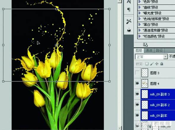 photoshop合成动感的喷溅郁金香教程14