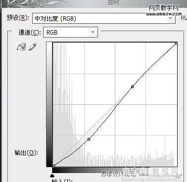 PS调色实例教程：将美女模特调制出中性色调的方法3