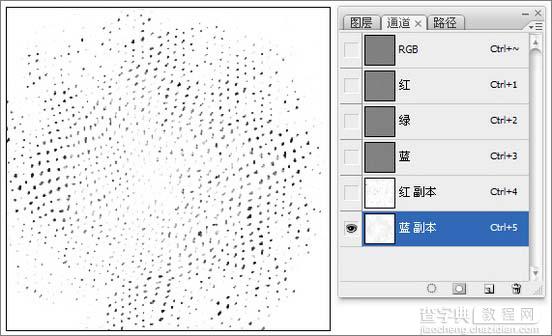 photoshop 滤镜打造逼真的质感皮革24