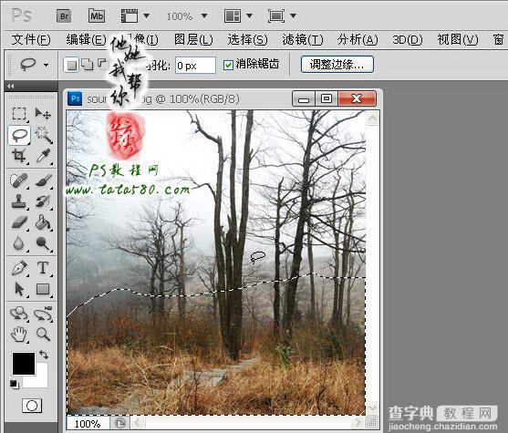 Photoshop制作寂静恐怖的丛林电影海报教程19