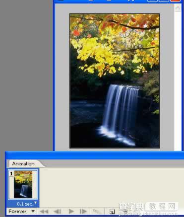 Photoshop制作秋风吹落树上的叶子动画9