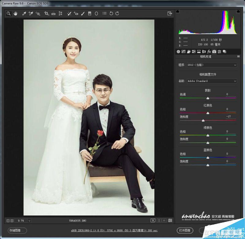 PS调出优雅韩式风格的婚纱照效果图10
