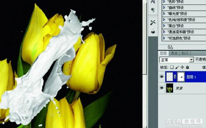 photoshop合成动感的喷溅郁金香教程4