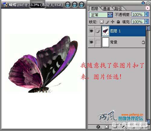 Photoshop 滤镜制作液态花纹图案3