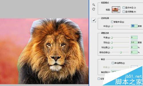 ps cs5抽出滤镜在哪? ps抽出滤镜的使用教程4