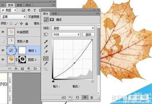 PS简单制作超漂亮的叶雕效果15