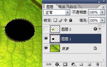 Photoshop打造绿叶上的漂亮的水珠8