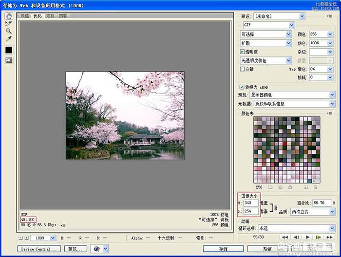 Photoshop教大家快速制作花瓣飘落动画效果16