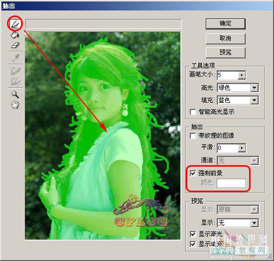 Photoshop 头发 抠图教程 怀恋抽出滤镜5