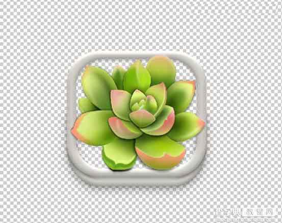 Photoshop设计很Q萌的多肉植物拟物化ICON26