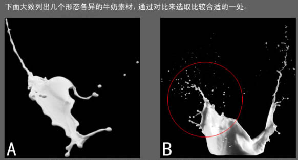 Photoshop合成牛奶泼洒出纯白色花朵的效果13