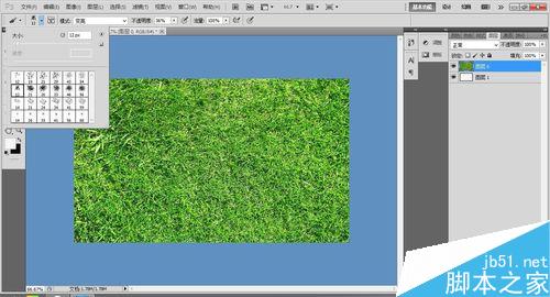 ps制作一张草坪上写字的效果图4