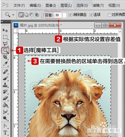 手把手教你用photoshop自制电子版一寸两寸标准照5