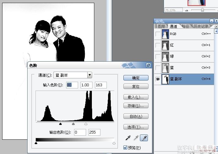 Photoshop简单背景的婚纱照抠图教程4