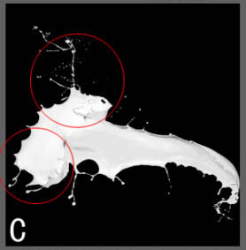 Photoshop合成牛奶泼洒出纯白色花朵的效果14