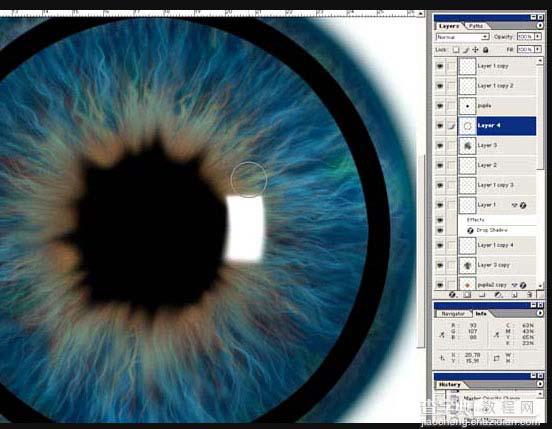 photoshop 滤镜制作瞳孔放大图18
