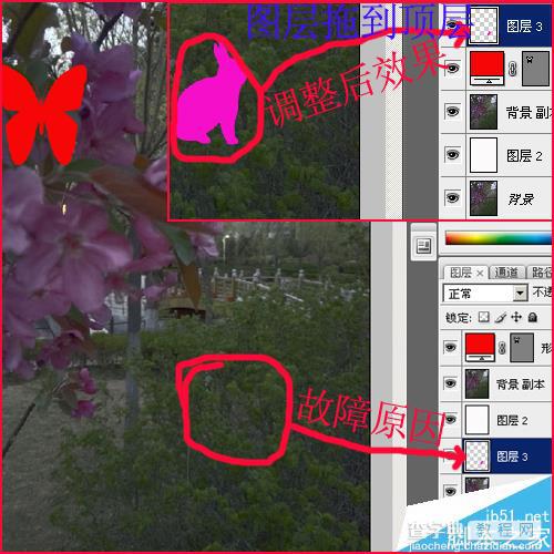 PS油漆桶不能用了怎么办? 解决ps油漆桶不能使用的七种方法6