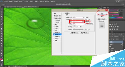 Photoshop制作荷叶上的水滴效果13