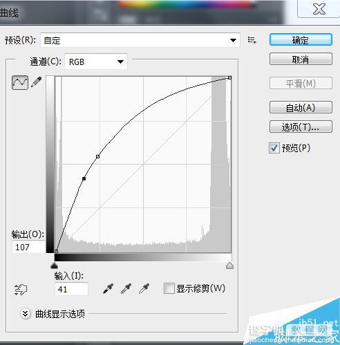 利用ps超简单制作逼真的纹身效果13