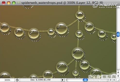 Photoshop打造挂满露珠的蜘蛛网21