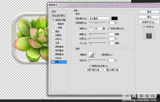 Photoshop设计很Q萌的多肉植物拟物化ICON25