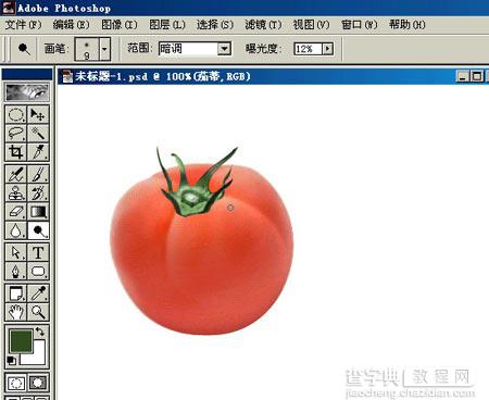 PHOTOSHOP鼠绘出逼真蕃茄教程11