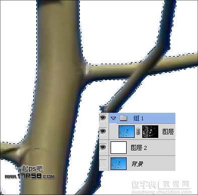 Photoshop抠图教程：通道和计算命令抠图实例13