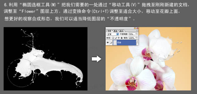 Photoshop快速给花朵加上喷溅牛奶教程16