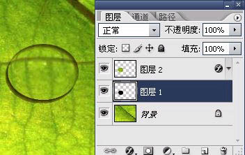 Photoshop打造绿叶上的漂亮的水珠9