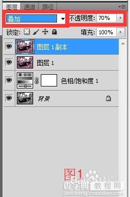 Photoshop制作唯美的照片红外摄影效果7