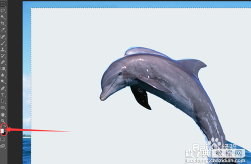 PS制作有海豚从水中跃出的效果6