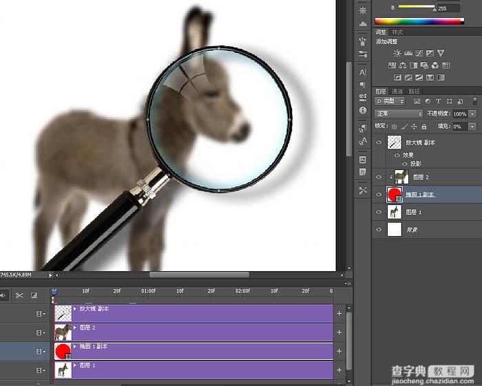PS教程：制作有趣的放大镜扫视小毛驴图片动画效果教程12