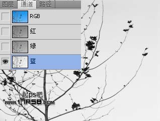 Photoshop抠图教程：通道和计算命令抠图实例3